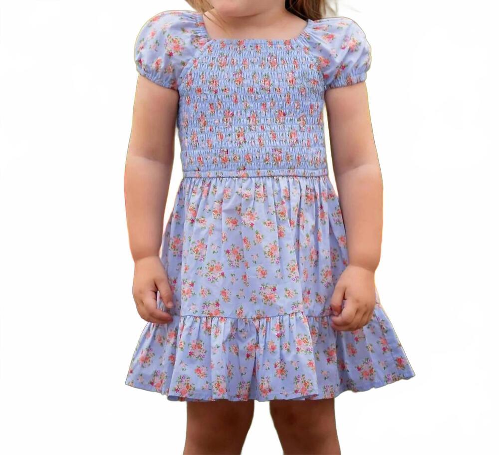NEW ISOBELLA & CHLOE delia floral dress in blue